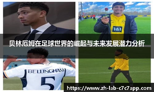 APP下载
