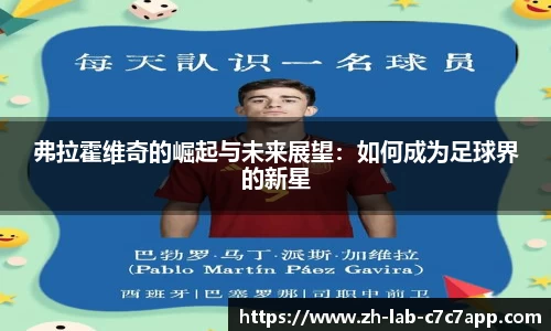 C7电子游戏