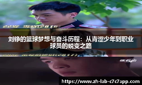 APP下载