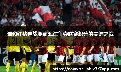 C7娱乐官网入口