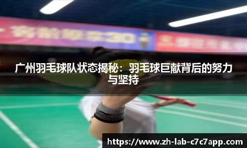 C7娱乐官网入口