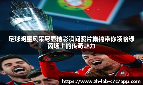 C7娱乐官网入口