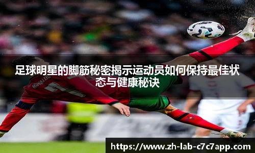 C7娱乐官网入口