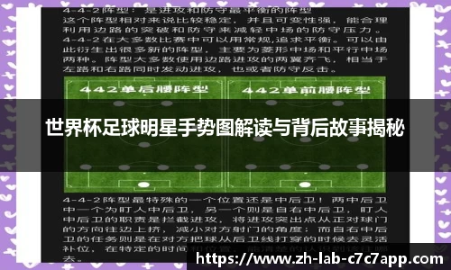 C7娱乐官网入口