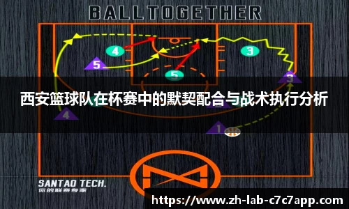 C7娱乐官网入口