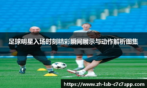 C7娱乐官网入口